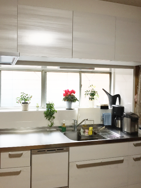 レンジフードと食洗器一体型のすっきりとしたキッチン施工後イメージ２