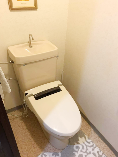 給排水を隠すすっきりとしたトイレ【レストパル】施工後イメージ１