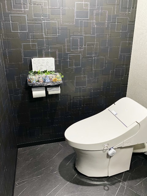 ホワイトグレーのトイレがシックな内装に調和するレストルームイメージ
